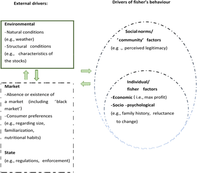 Discarding in Mediterranean trawl fisheries—a review of potential measures  and stakeholder insights | SpringerLink