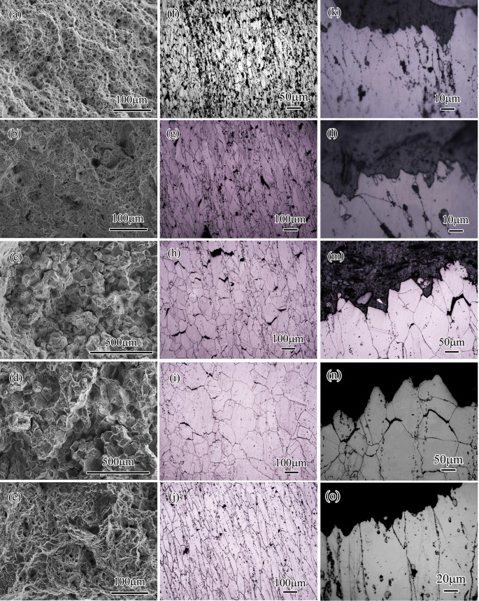 Effect Of Heat Treatment On Microstructure And Stress Rupture Properties Of A Ni Mo Cr Fe Base Corrosion Resistant Superalloy Springerlink Effect Of Heat Treatment On Microstructure And Stress Rupture Properties Of A Ni Mo Cr Fe Base Corrosion Resistant Superalloy Springerlink