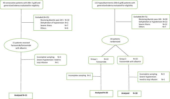 Efficacy Of Furosemide Albumin Compared With Furosemide In Critically Ill Hypoalbuminemia Patients Admitted To Intensive Care Unit A Prospective Randomized Clinical Trial Springerlink