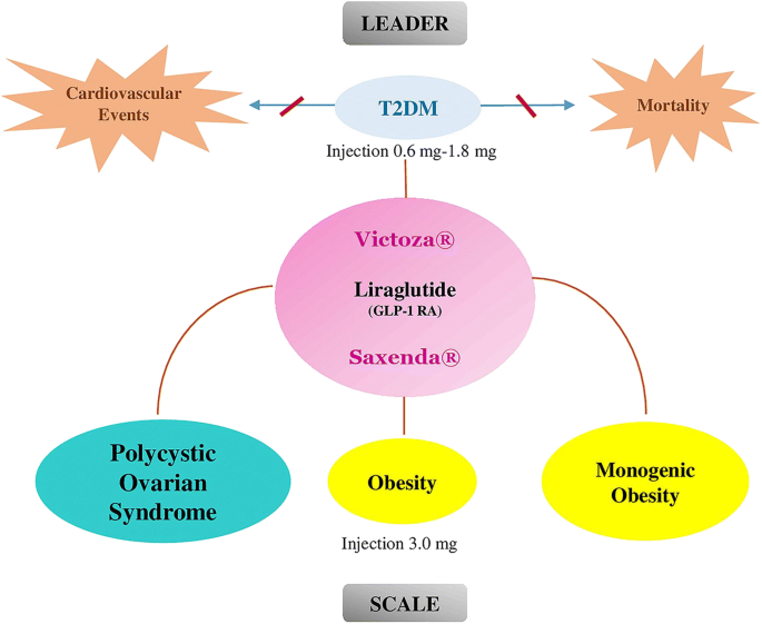 A Narrative Review Of Current Trends In Liraglutide Insights Into The Unmet Needs In Management Of Type 2 Diabetes And Obesity Springerlink