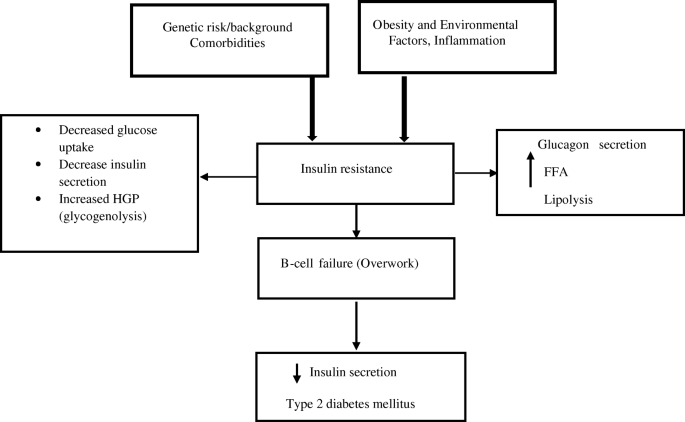 type 2 diabetes mellitus pathogenesis