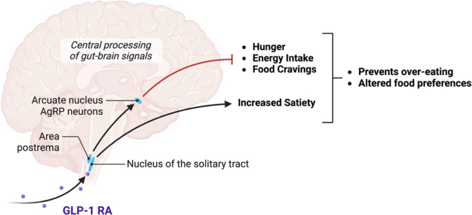 GLP-1 medications and mental health benefits: What new research shows