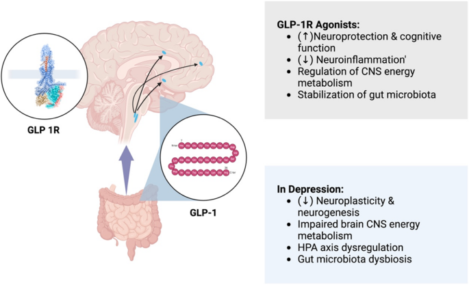 glp 1 depression Psychological and behavioral effects of GLP-1 and GIP agonists in weight  loss: a comprehensive review | Journal of Diabetes & Metabolic Disorders