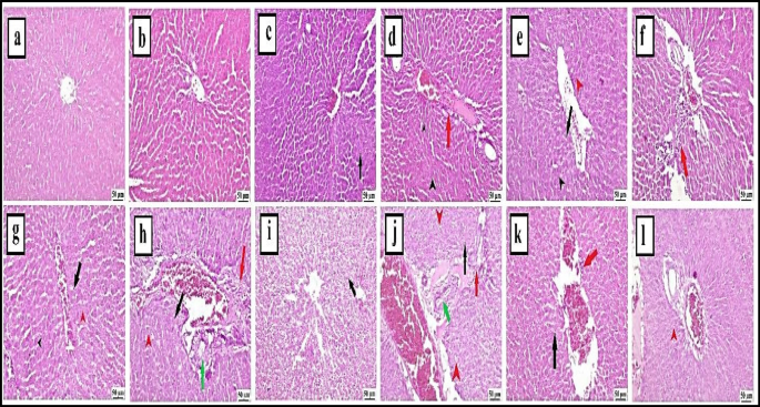 Kaavio bonusmatematiikasta Rizk.fi:llä