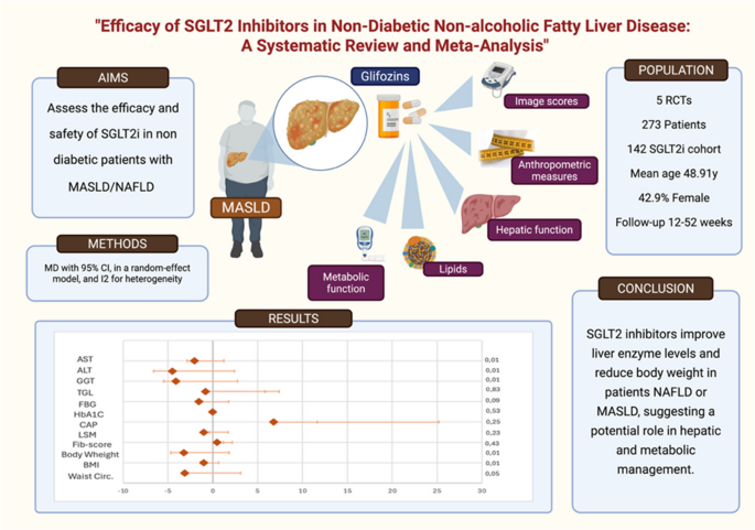 “Efficacy of SGLT2 inhibitors in non-diabetic non-alcoholic fatty liver ...