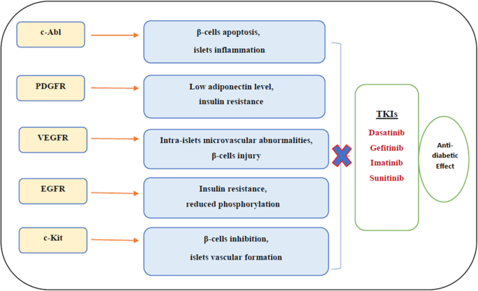 Potential impact of tyrosine kinase inhibitors on glycemic control and ...
