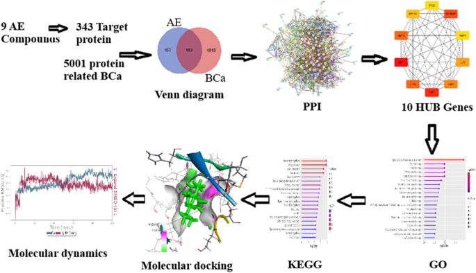Network pharmacology and molecular docking to reveal the ...