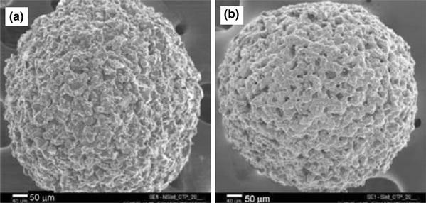 Development of microspheres for biomedical applications: a review |  SpringerLink