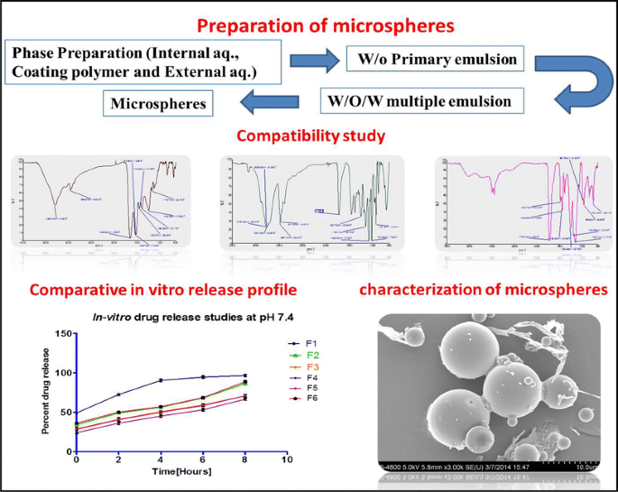 Formulation Physicochemical Characterization And In Vitro Evaluation Of Human Insulin Loaded Microspheres As Potential Oral Carrier Springerlink