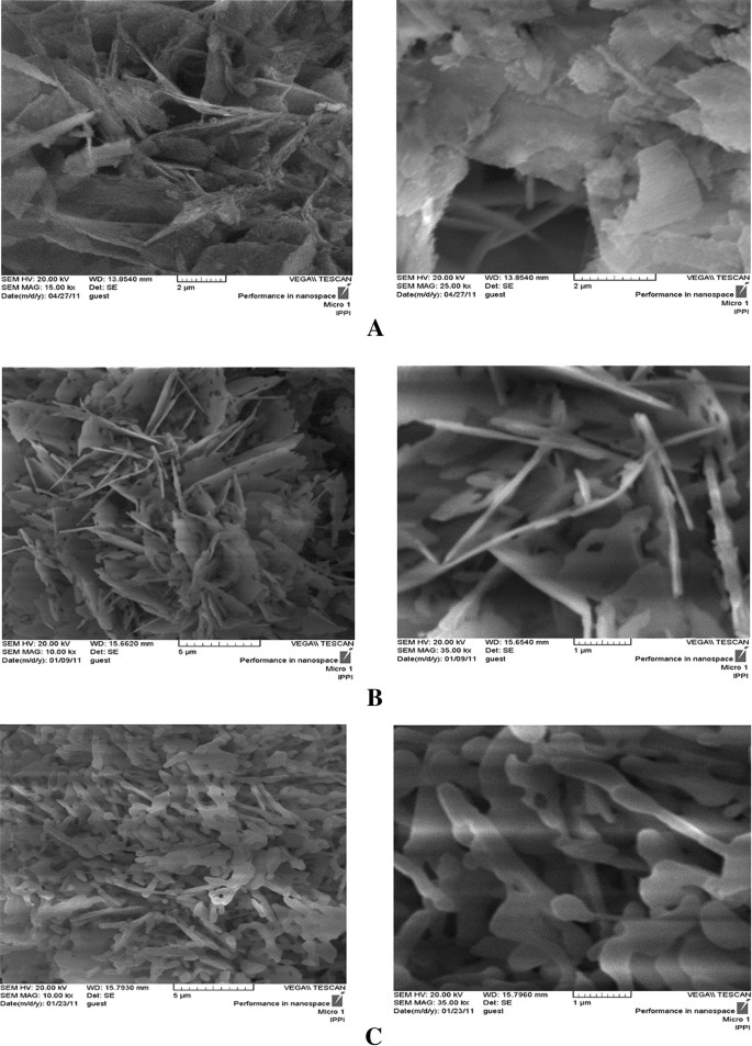 Synthesis Of Plate Like B Tricalcium Phosphate Nanoparticles And Their Efficiency In Remineralization Of Incipient Enamel Caries Springerlink