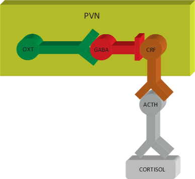Oxytocin Und Die Suchterhaltenden Mechanismen Der Alkoholabhangigkeit Springerlink Oxytocin Und Die Suchterhaltenden Mechanismen Der Alkoholabhangigkeit Springerlink