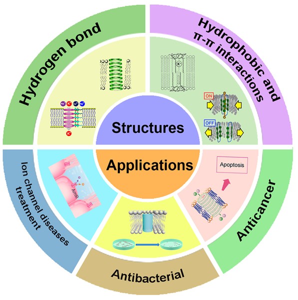 Self-assembled Supramolecular Artificial Transmembrane Ion Channels: Recent  Progress and Application