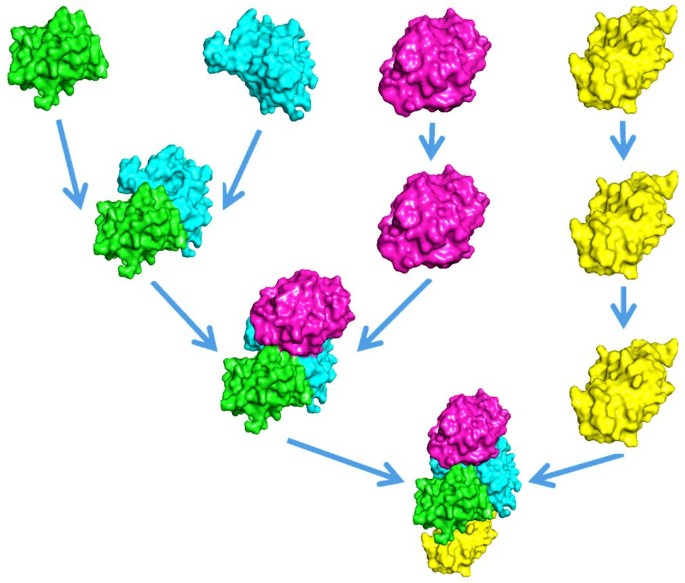 Prediction of the Assembly Process and Structure of Heteromultimeric ...