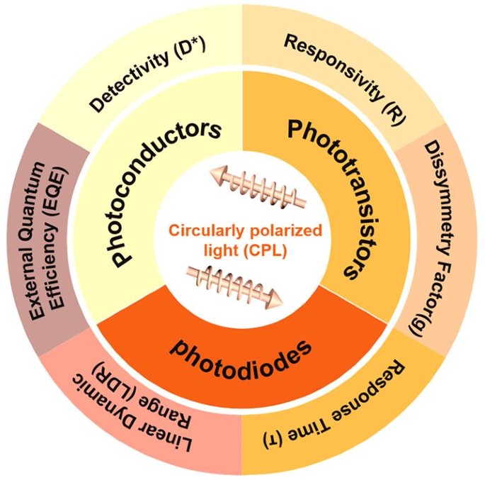 Circularly Polarized Light Detection