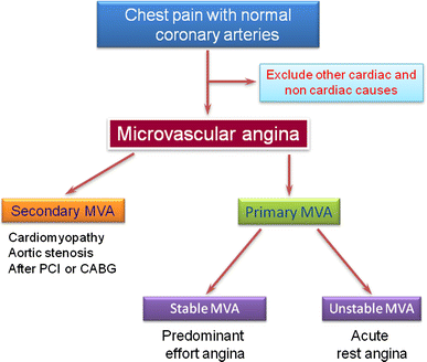 how does diabetes cause angina pectoris