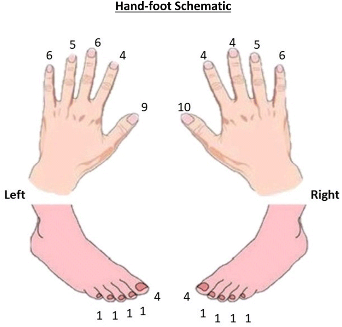 Retrospective Case Series on Risk Factors, Diagnosis and Treatment of Pseudomonas aeruginosa Nail Infections | SpringerLink Retrospective Case Series on Risk Factors, Diagnosis and Treatment of Pseudomonas aeruginosa Nail Infections | SpringerLink