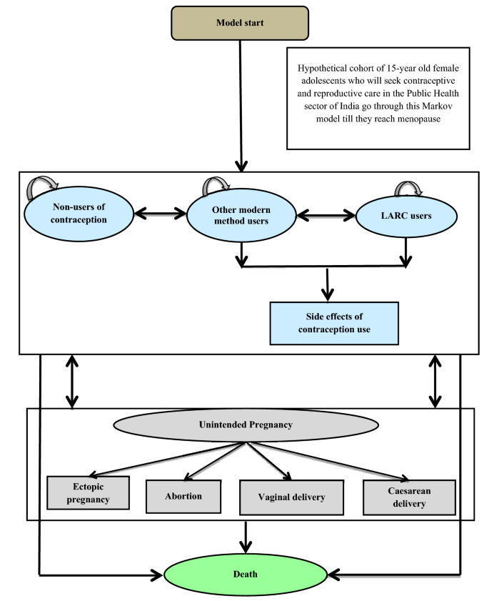 Cost Effectiveness Of Introducing Etonorgestrel Contraceptive Implant Into India S Current Family Welfare Programme Springerlink