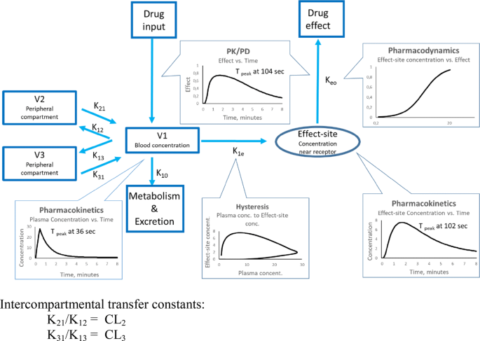Clinical Pharmacokinetics and Pharmacodynamics of Propofol ...