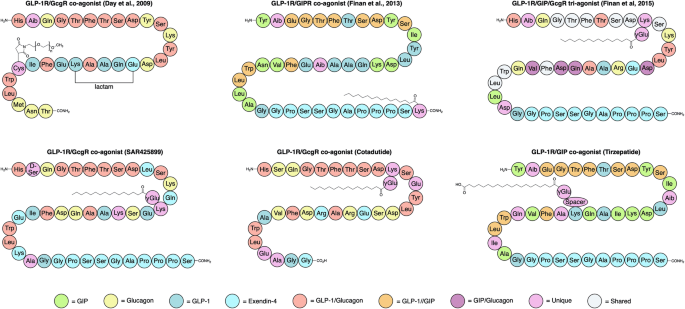 Designing Poly-agonists for Treatment of Metabolic Diseases: Challenges and Opportunities | Drugs | Springer Nature Link Designing Poly-agonists for Treatment of Metabolic Diseases: Challenges and Opportunities | Drugs | Springer Nature Link