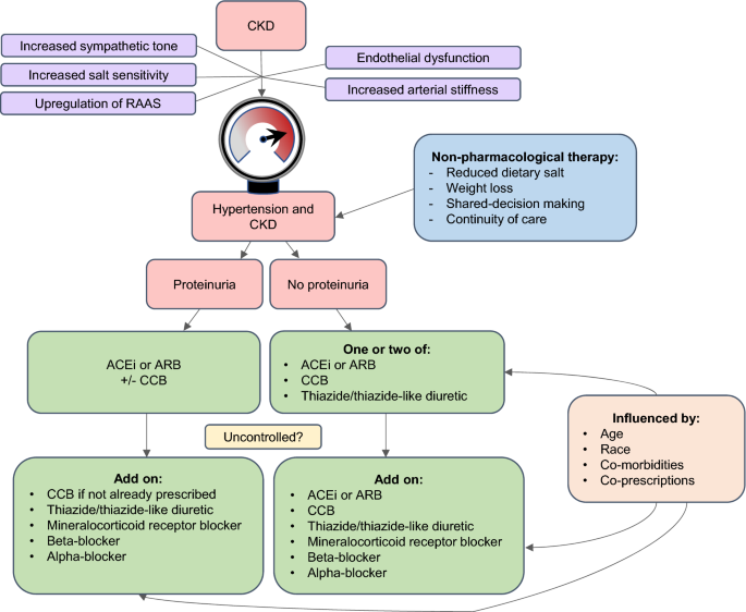 best antihypertensive drug in ckd