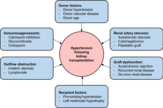 hypertensive nephropathy treatment