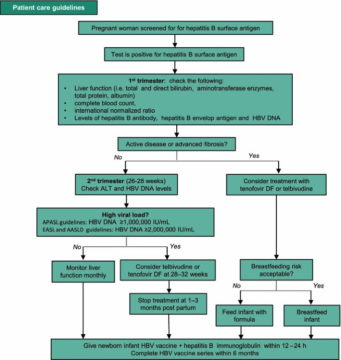 Prevent Transmission Of Hepatitis B From Mother To Child In Endemic Areas With Appropriate Screening Antiviral Therapy And Vaccination Springerlink