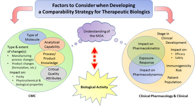 Comparability Considerations and Challenges for Expedited Development  Programs for Biological Products | SpringerLink