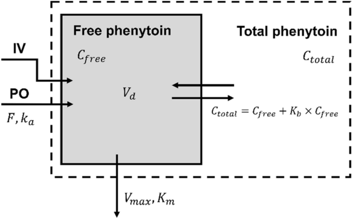 Comparisons Of Four Protein Binding Models Characterizing The Pharmacokinetics Of Unbound Phenytoin In Adult Patients Using Non Linear Mixed Effects Modeling Springerlink