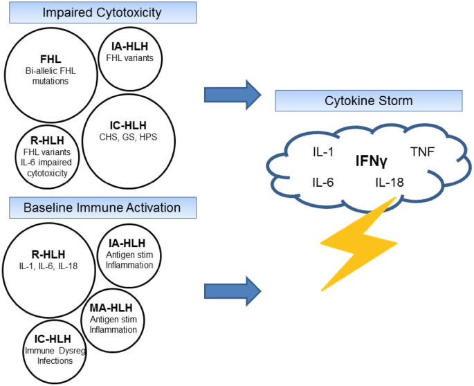 Macrophage Activation Syndrome And Secondary Hemophagocytic Lymphohistiocytosis In Childhood Inflammatory Disorders Diagnosis And Management Springerlink