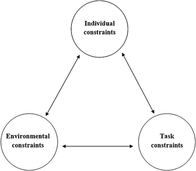 The Relative Age Effect In Sport A Developmental Systems Model Springerlink