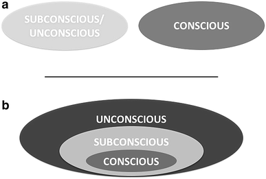 Will The Conscious Subconscious Pacing Quagmire Help Elucidate The Mechanisms Of Self Paced Exercise New Opportunities In Dual Process Theory And Process Tracing Methods Springerlink