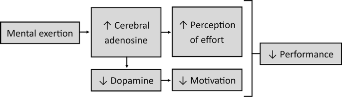 Mental Fatigue Impairs Endurance Performance A Physiological Explanation Springerlink