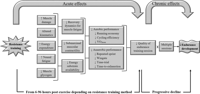 Training Considerations For Optimising Endurance Development An Alternate Concurrent Training Perspective Springerlink