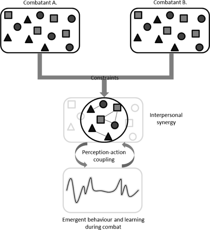 Combat as an Interpersonal Synergy: An Ecological Dynamics Approach to  Combat Sports | SpringerLink