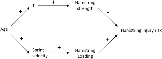 research paper in sports injury figure 5