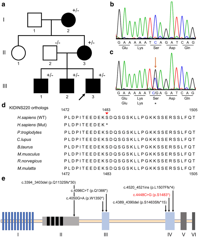 In Autosomal Dominant Inheritance Asp Date