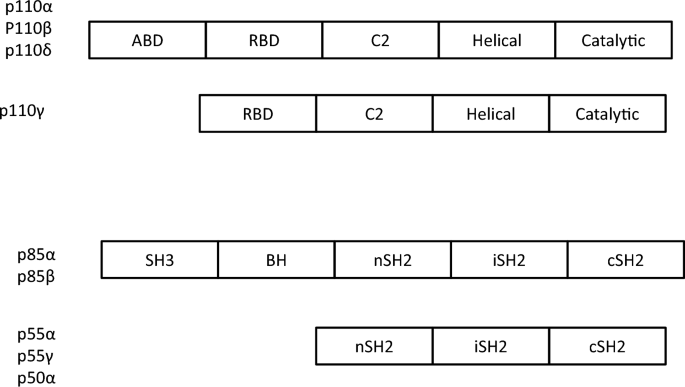 From PIK3CA Mutations to Rational PI3K Inhibition for the Treatment of ...