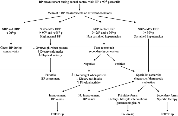 Hypertension In Young People Epidemiology Diagnostic Assessment And Therapeutic Approach Springerlink