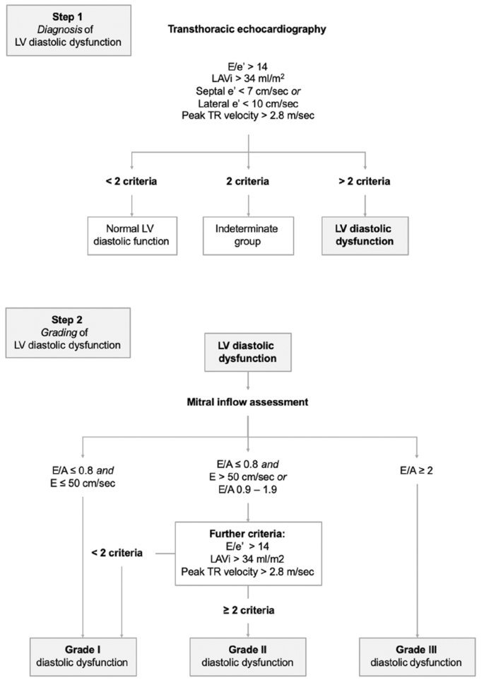 A) Algorithm for diagnosis of LV diastolic dysfunction in subjects