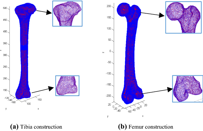 The humerus and the femur are corresponding bones of the arms and legs, respectively. Reconstruction Individual Three Dimensional Model Of Fractured Long Bone Based On Feature Points Springerlink