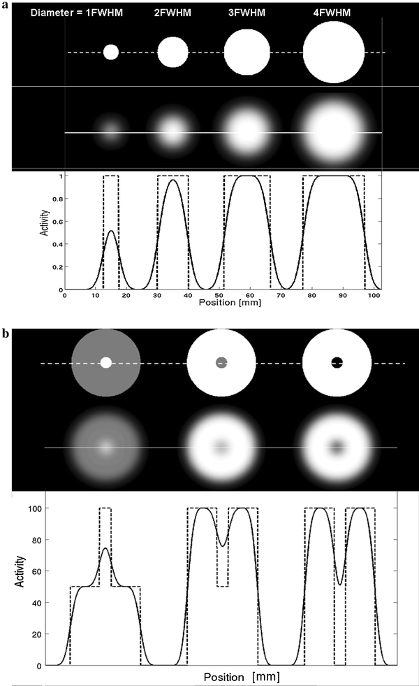 PET quantification: strategies for partial volume correction | Clinical and  Translational Imaging