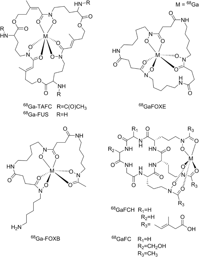 scheme 8