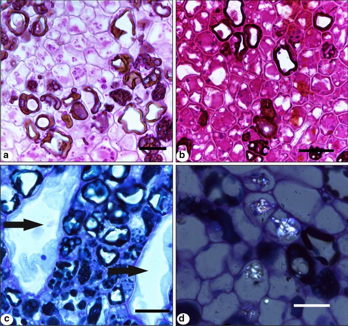 figure 16