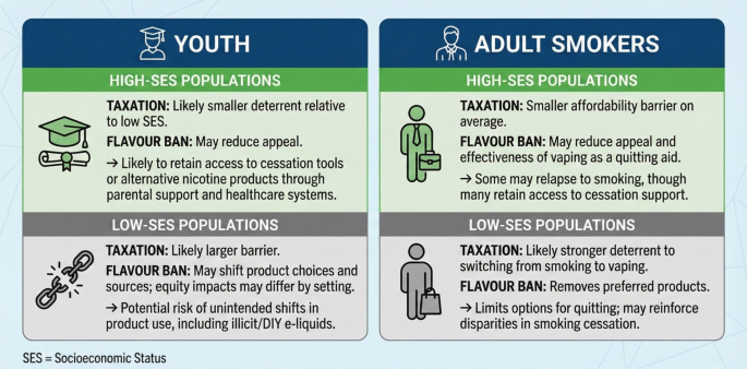 Socioeconomic Disparities in E-Cigarette Use: Patterns, Mechanisms, and  Equity Implications | Current Addiction Reports