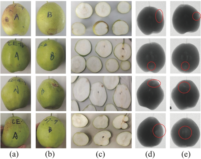 Pears classification by identifying internal defects based on Xray