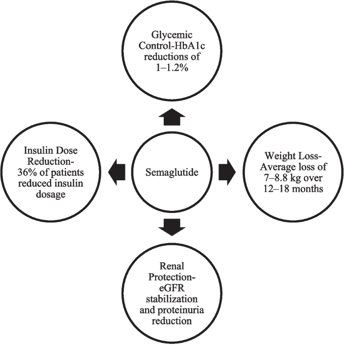 is semaglutide safe for kidneys Use of Semaglutide in Diabetes Care Post Renal Transplantation | Current  Transplantation Reports