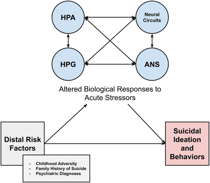 Biological Responses to Acute Stress and Suicide: a Review and  Opportunities for Methodological Innovation | SpringerLink