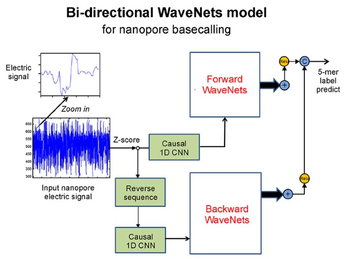 WaveNano: a signal-level nanopore base-caller via ...