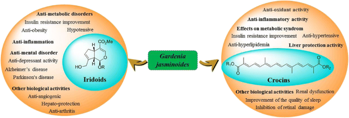 Focusing on the Pharmacological Effects of Iridoids and Crocetin and Its Ester Derivatives of Gardenia jasminoides | Current Pharmacology Reports