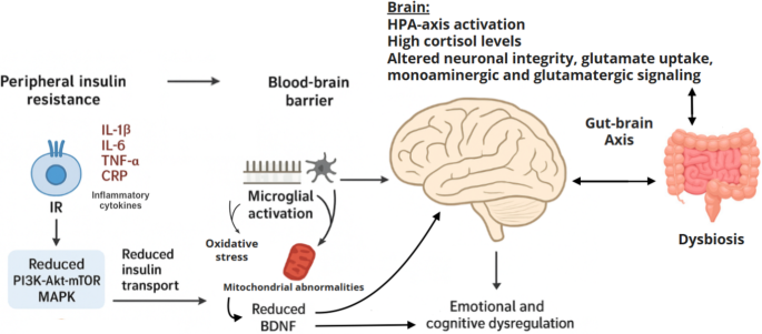 The Potential Role of Antidiabetic Agents in Bipolar Disorder | Current  Treatment Options in Psychiatry
